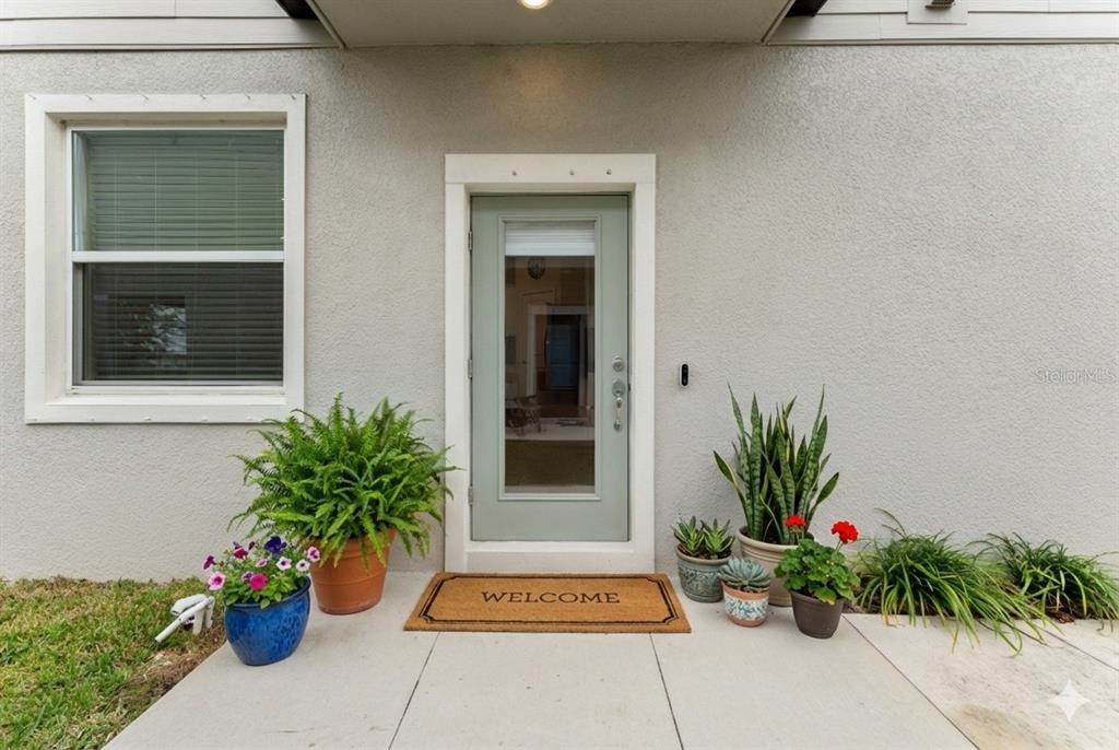 31329 Amberview Bend Wesley Chapel, FL 33545 - Photo 2 of 57 a potted plant sitting in front of a house