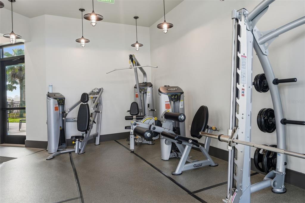 31329 Amberview Bend Wesley Chapel, FL 33545 - Photo 51 of 57 a view of a room with gym equipment