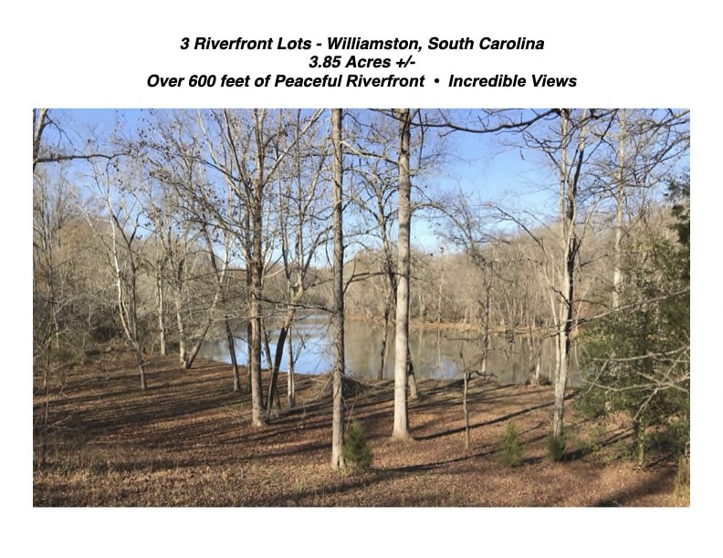 430 Saluda Road Williamston, SC 29697 - Photo 3 of 13