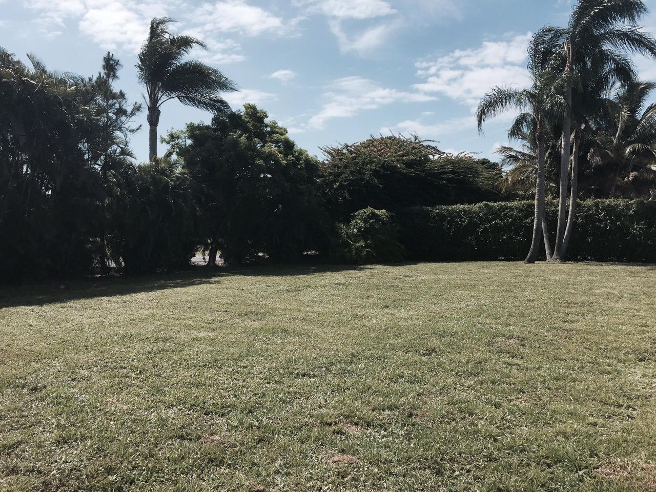 10728 St Andrews Road Boynton Beach, FL 33436 - Photo 10 of 20 10 Back yard 1