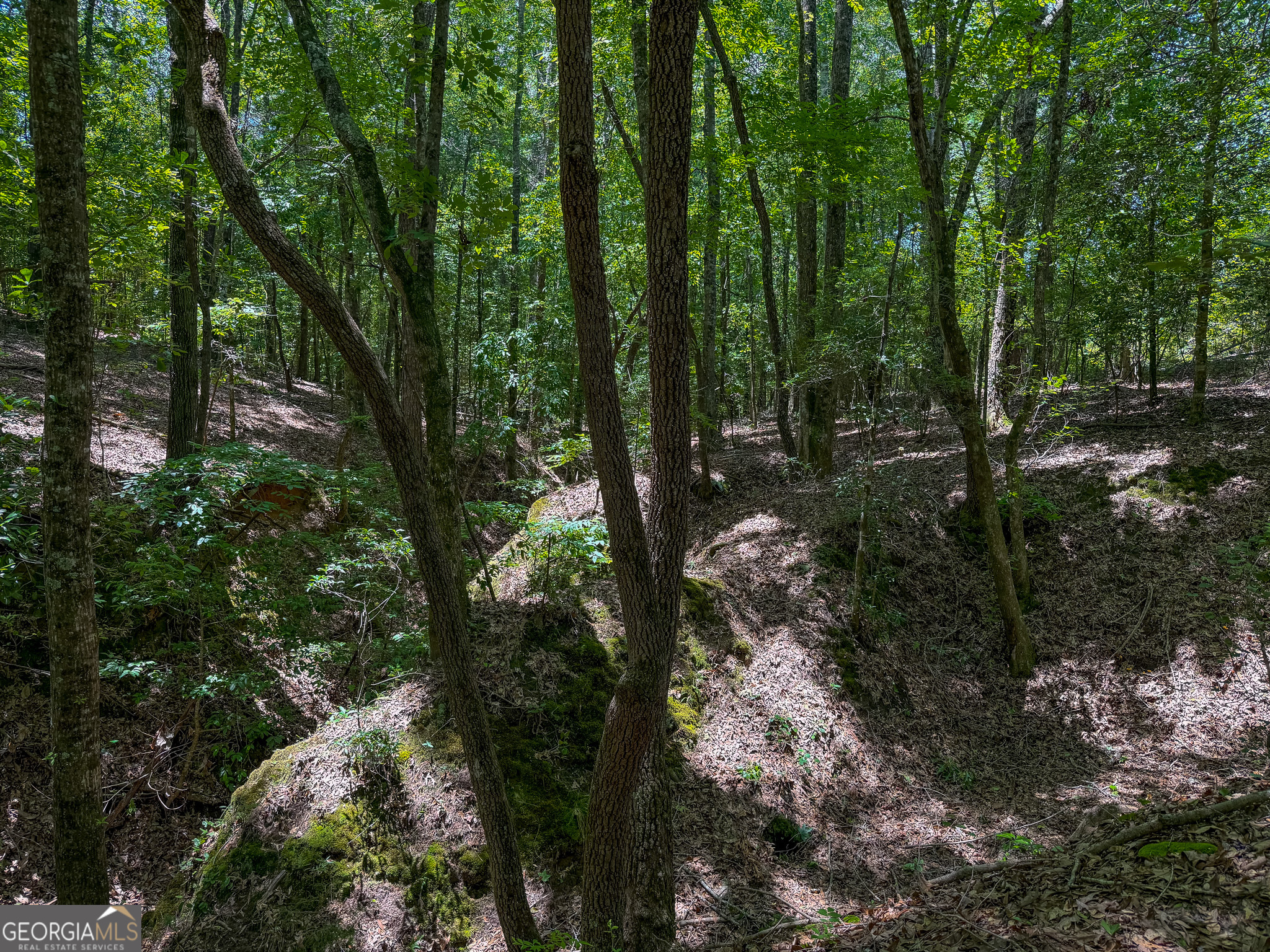 6687 Green Grove Road Lumpkin, GA 31815 - Photo 13 of 25