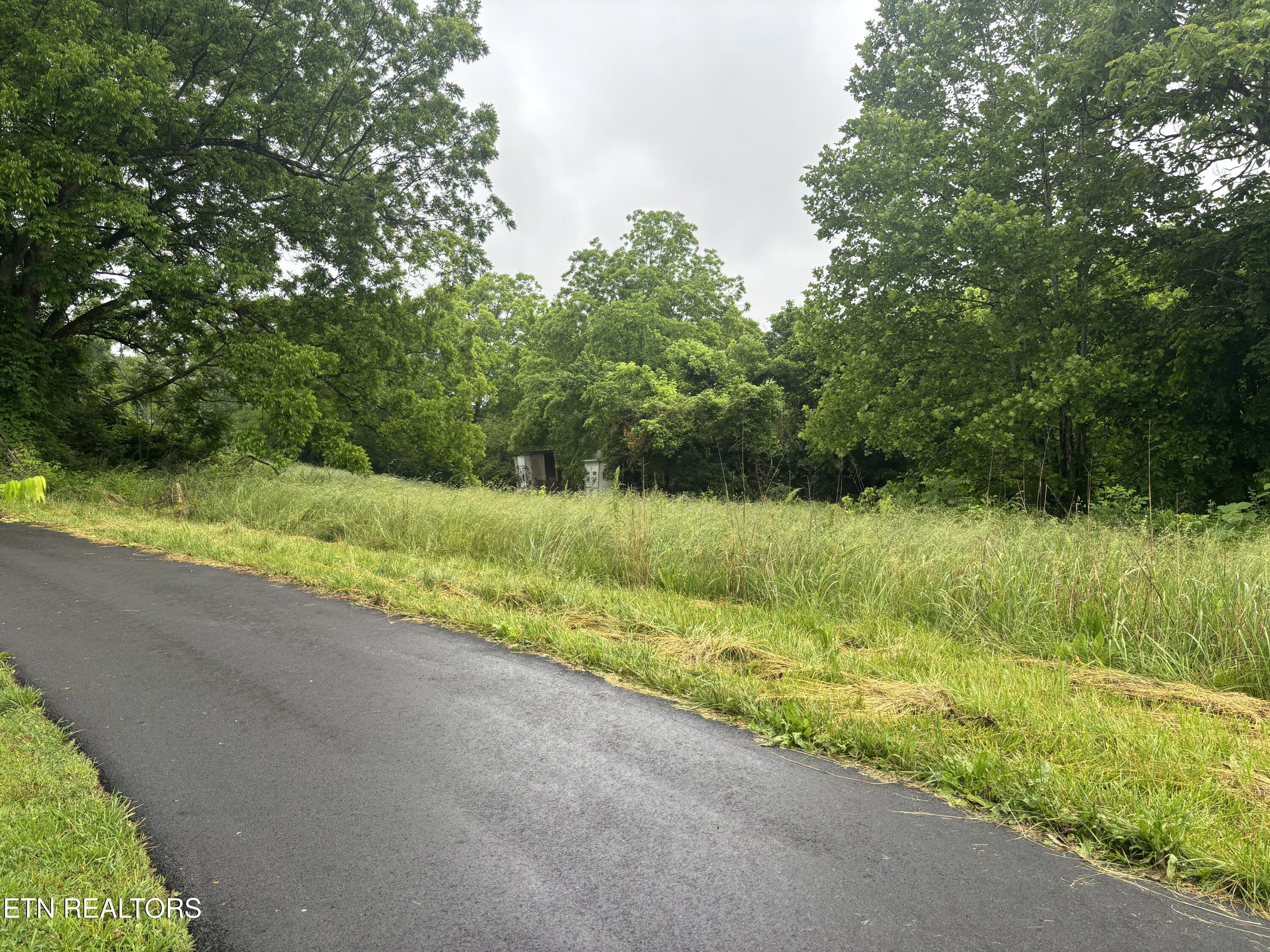 Morrell Springs Road Newport, TN 37821 - Photo 3 of 18 IMG_0086