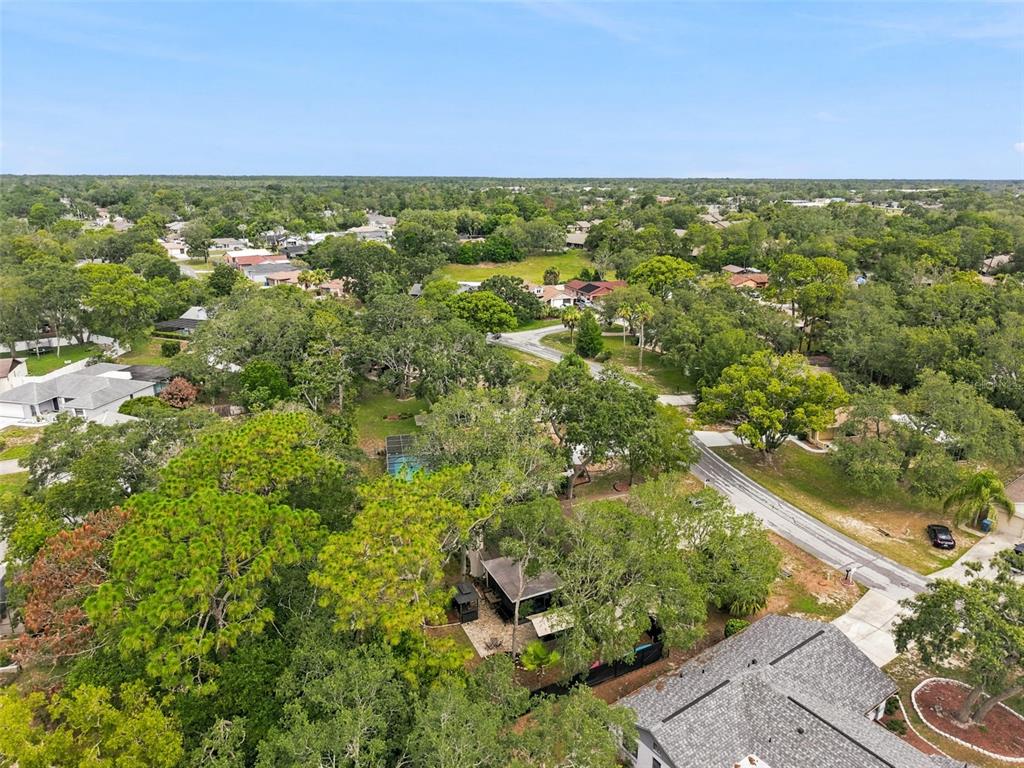 7407 Philatelic Drive Spring Hill, FL 34606 - Photo 43 of 43