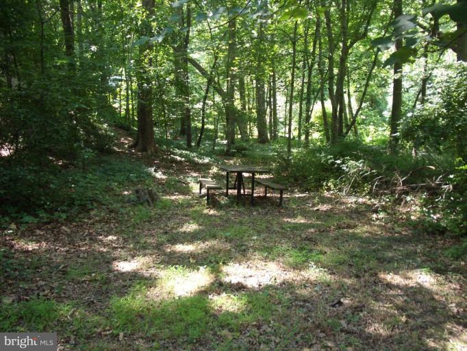 11306 Myrtle Lane Reston, VA 20191 - Photo 2 of 11 Wooded View / Acreage