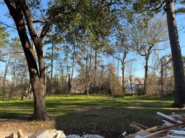 a yard with lots of trees and plants