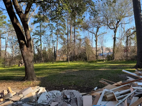 a view of a park with large trees