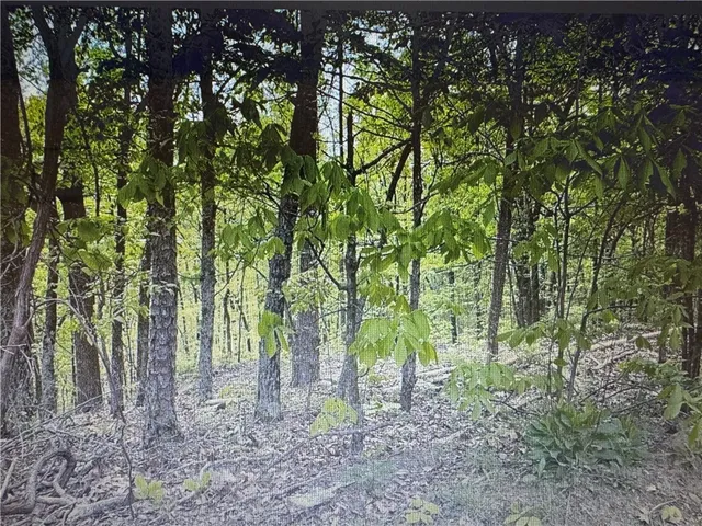 $15,900 | 1358 Hunter Drive, Ranger, GA 30734