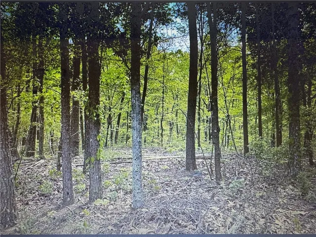 $15,900 | 1358 Hunter Drive, Ranger, GA 30734