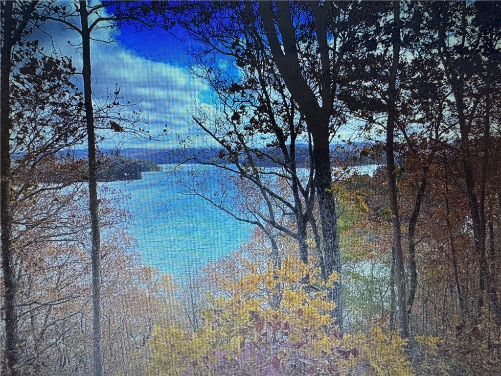 1358 Hunter Drive Ranger, GA 30734 - Photo 6 of 8