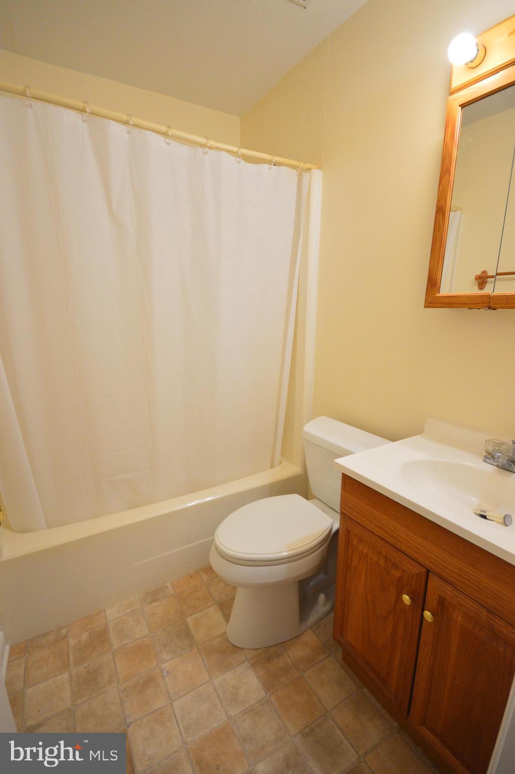 247 Brunswick Road Stephens City, VA 22655 - Photo 16 of 39 main full bath new floors