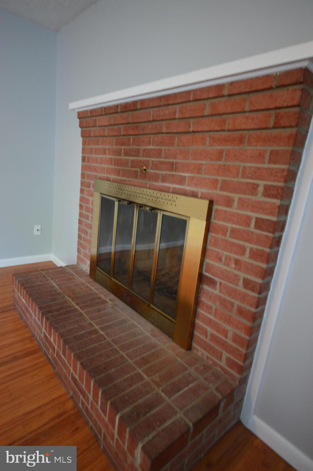 wood burning fireplace