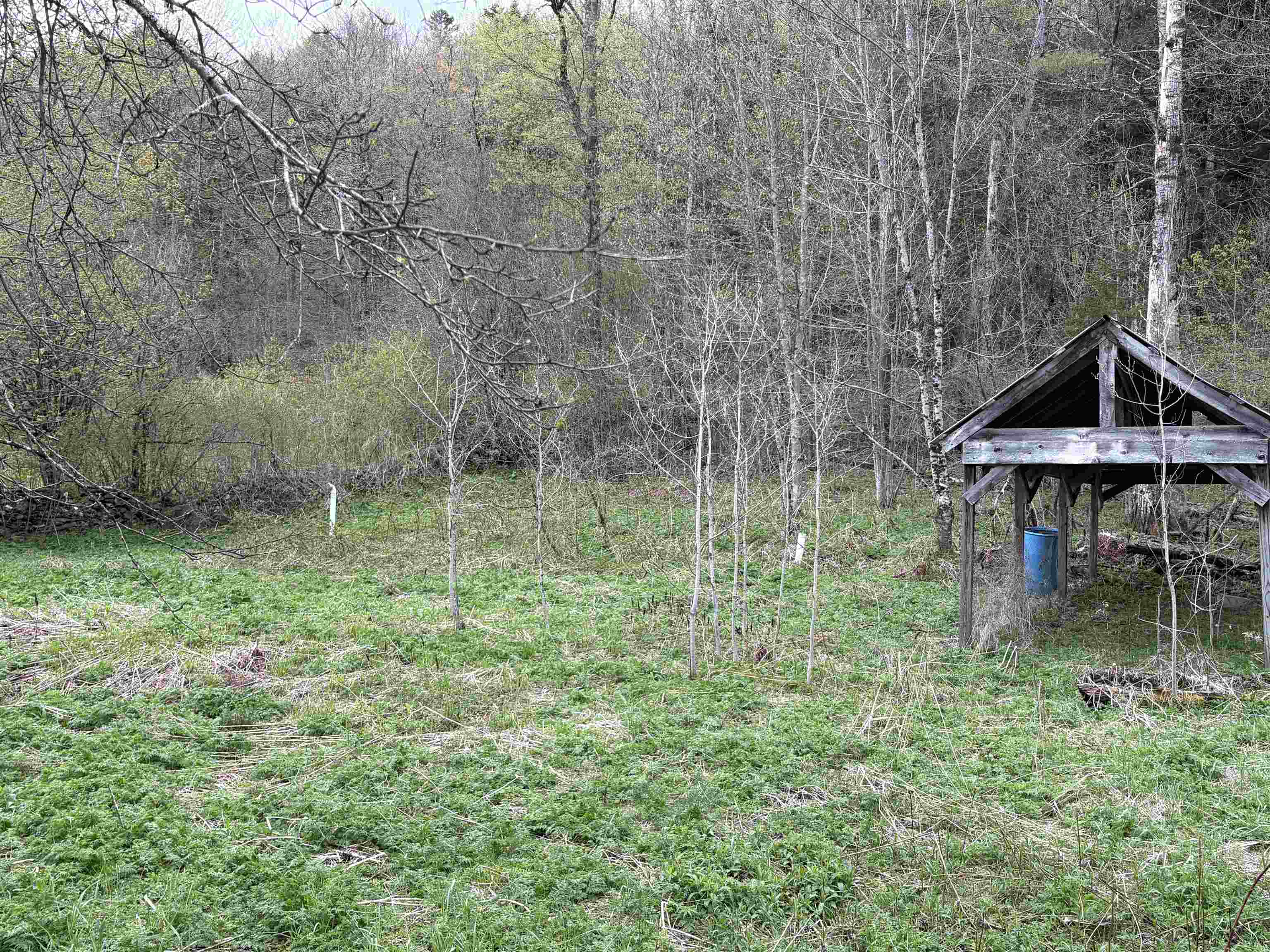 169 Bear Hill Road Braintree, VT 05060 - Photo 22 of 25