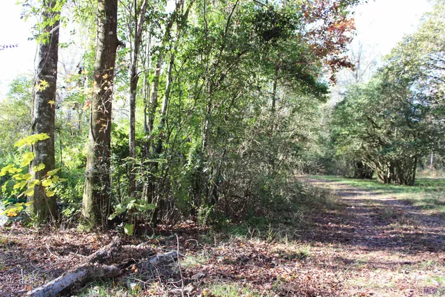$15,705 | 0 McGehee Road, Bogalusa, LA 70427
