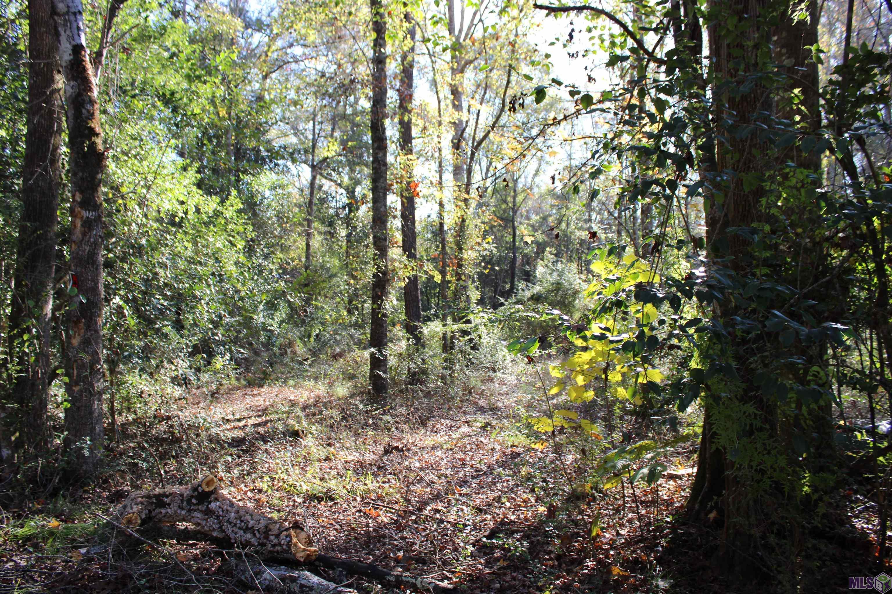 0 McGehee Road Bogalusa, LA 70427 - Photo 12 of 18