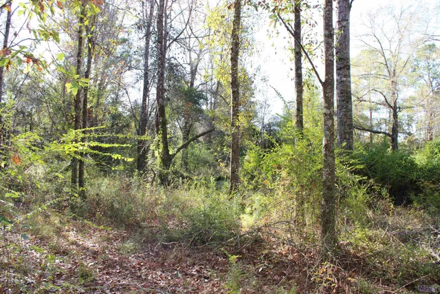 $15,705 | 0 McGehee Road, Bogalusa, LA 70427