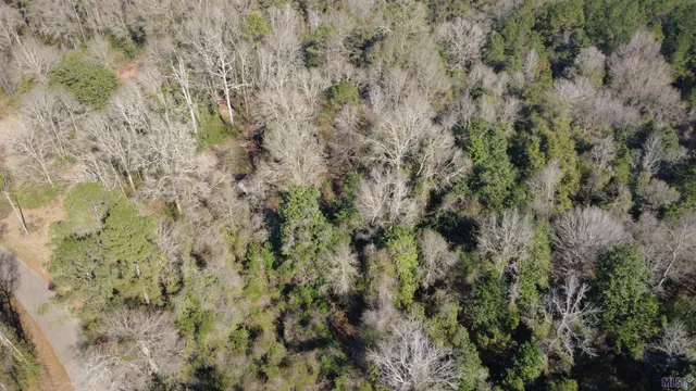 $15,705 | 0 McGehee Road, Bogalusa, LA 70427