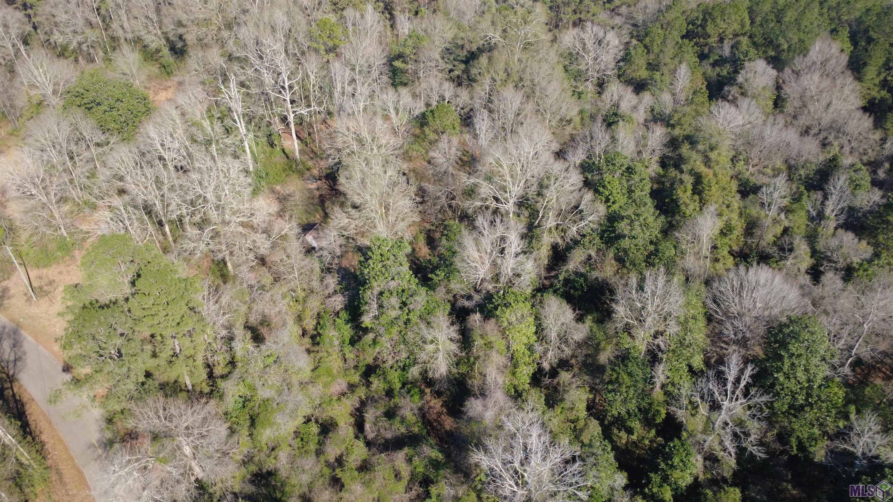 0 McGehee Road Bogalusa, LA 70427 - Photo 2 of 18