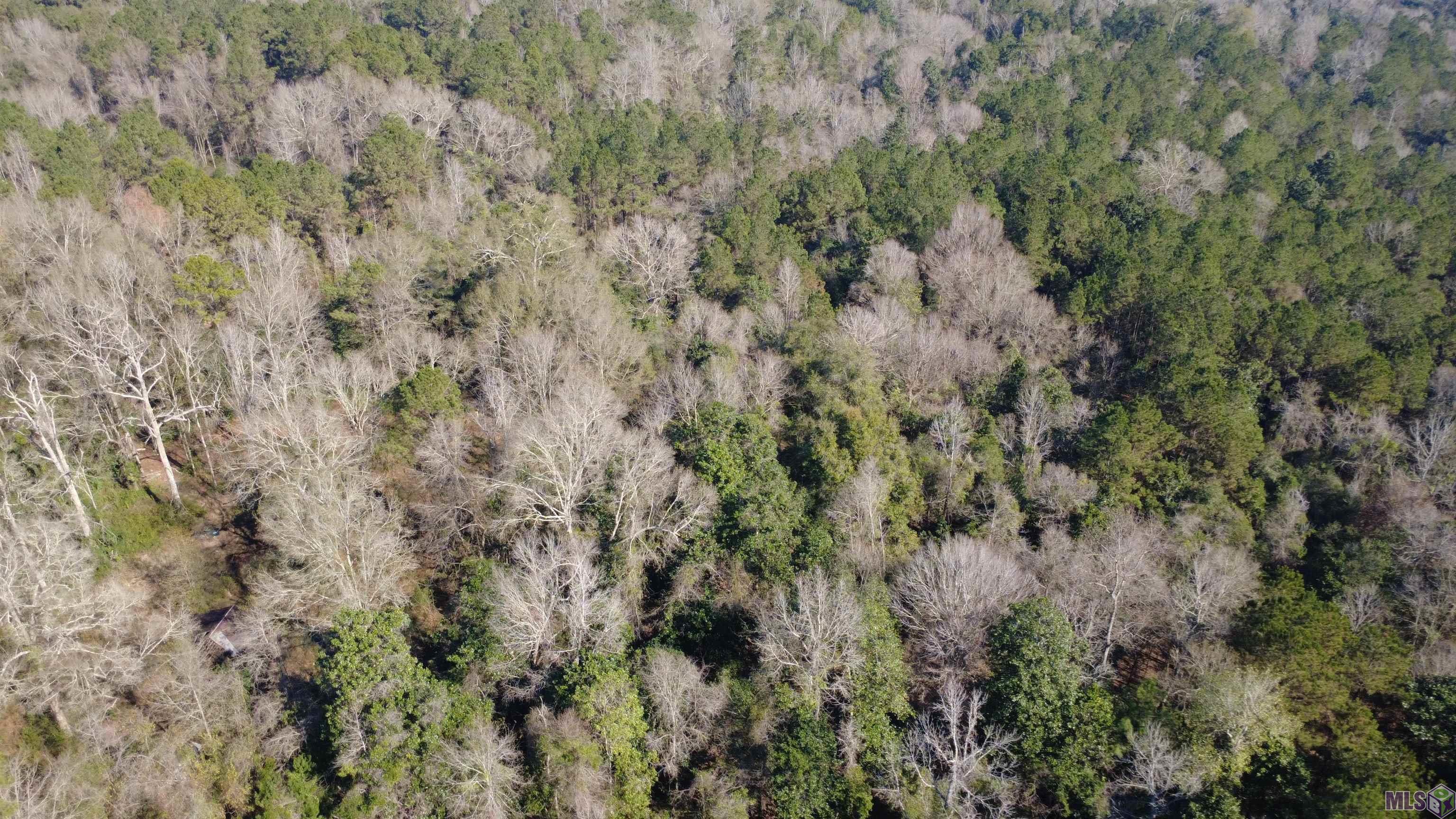 0 McGehee Road Bogalusa, LA 70427 - Photo 3 of 18