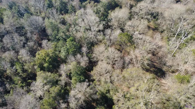 $15,705 | 0 McGehee Road, Bogalusa, LA 70427