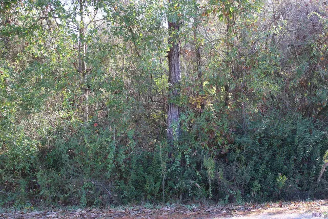 $15,705 | 0 McGehee Road, Bogalusa, LA 70427