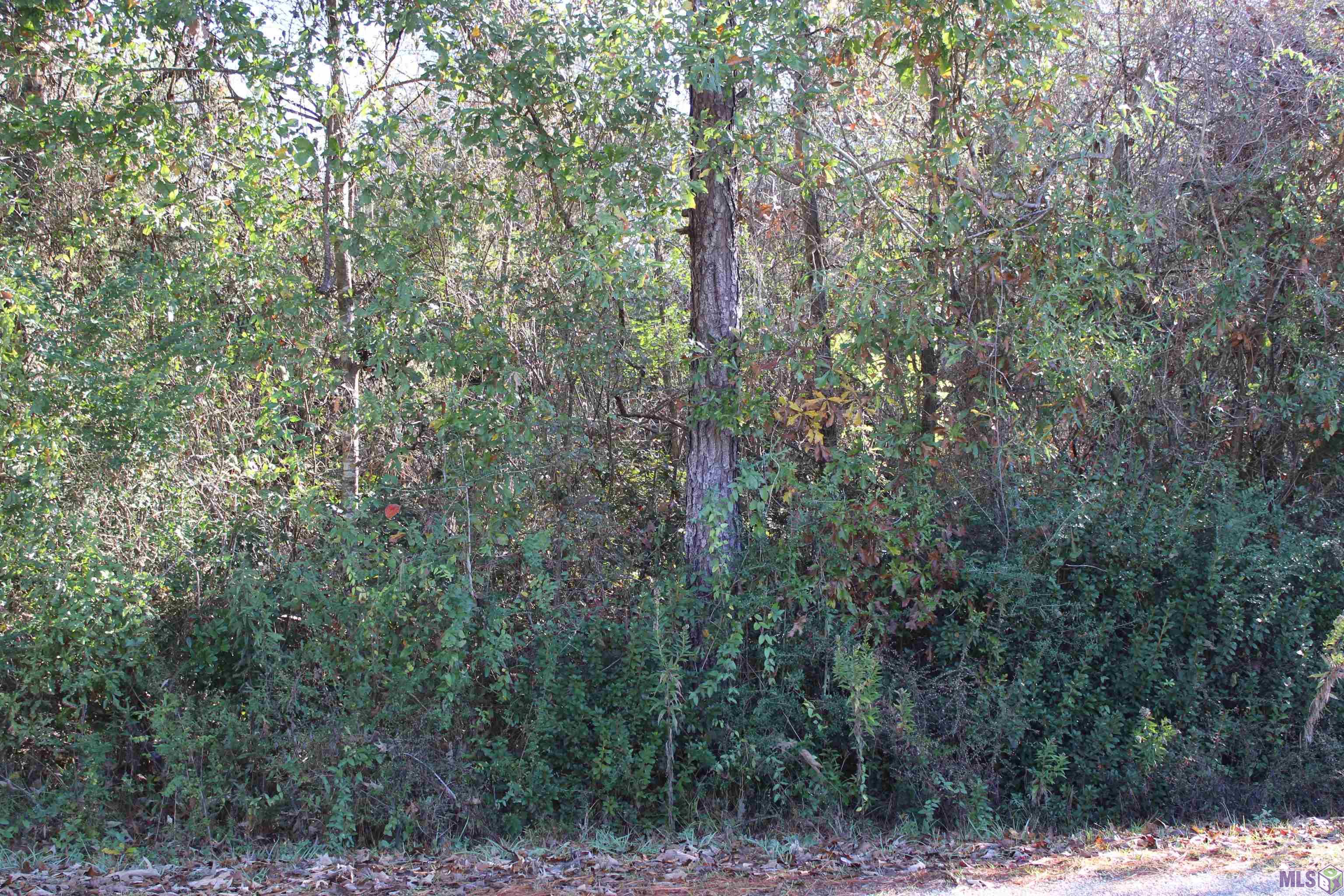 0 McGehee Road Bogalusa, LA 70427 - Photo 6 of 18