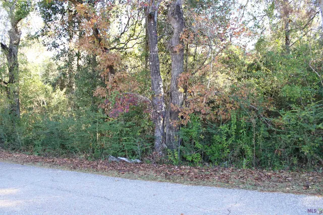 $15,705 | 0 McGehee Road, Bogalusa, LA 70427