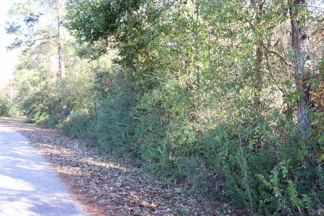 $15,705 | 0 McGehee Road, Bogalusa, LA 70427