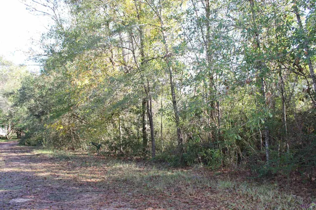 $15,705 | 0 McGehee Road, Bogalusa, LA 70427