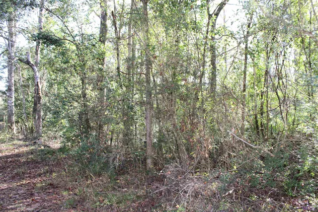 $15,705 | 0 McGehee Road, Bogalusa, LA 70427