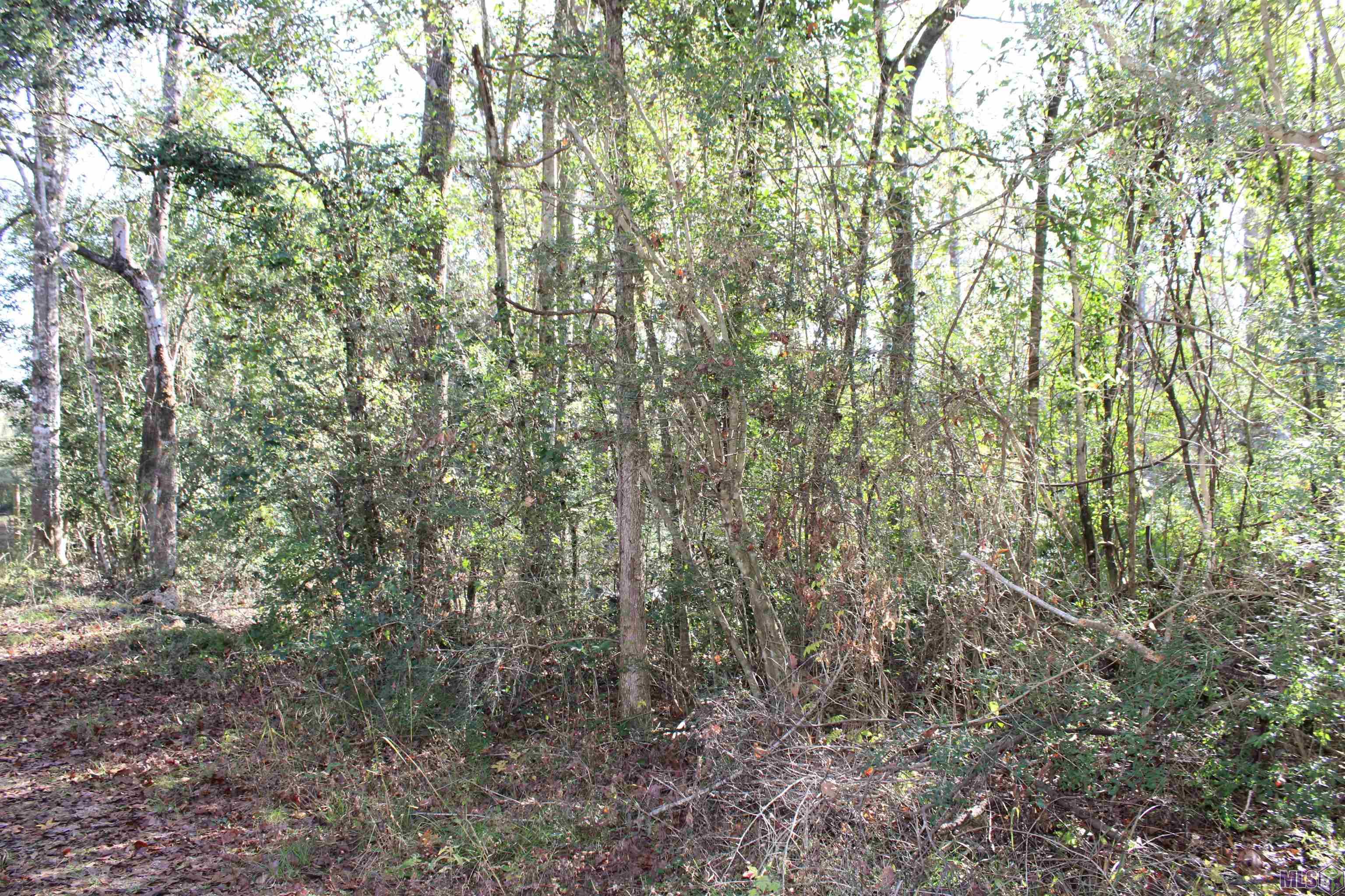 0 McGehee Road Bogalusa, LA 70427 - Photo 10 of 18