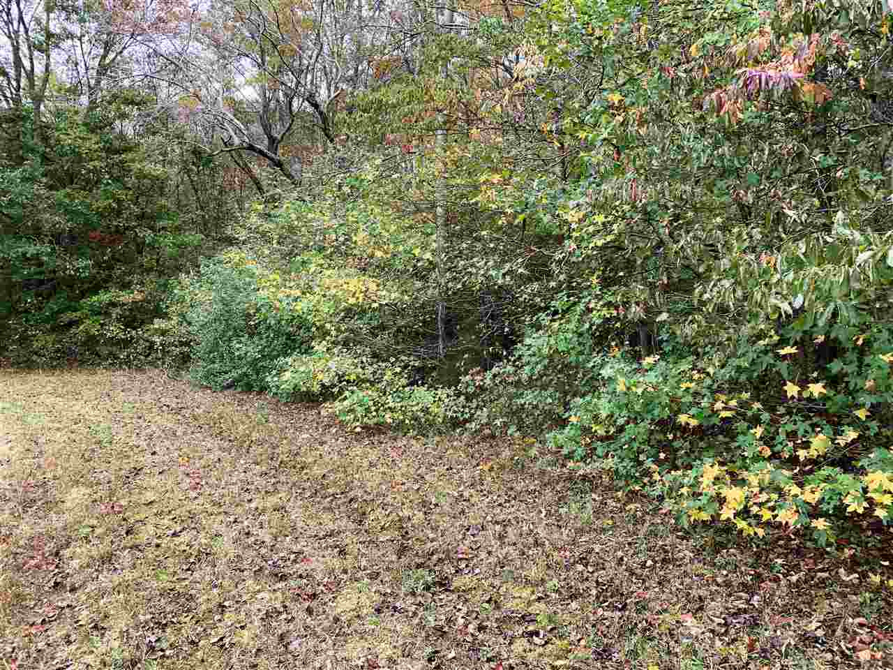 0 Mcillwain Road Holladay, TN 38341 - Photo 3 of 15 Photo 3