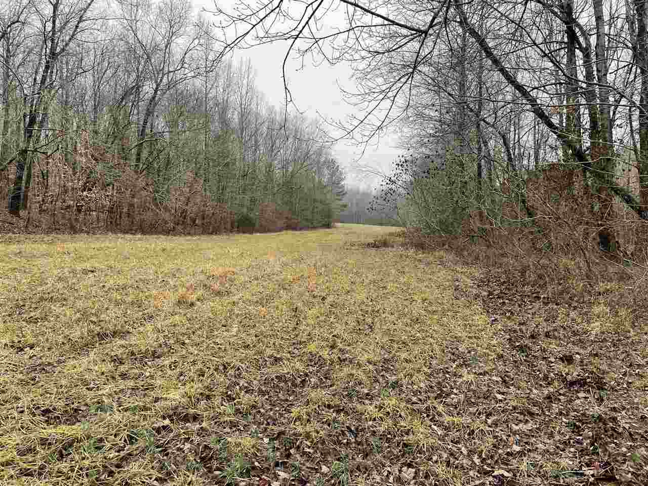 0 Mcillwain Road Holladay, TN 38341 - Photo 10 of 15 Photo 10