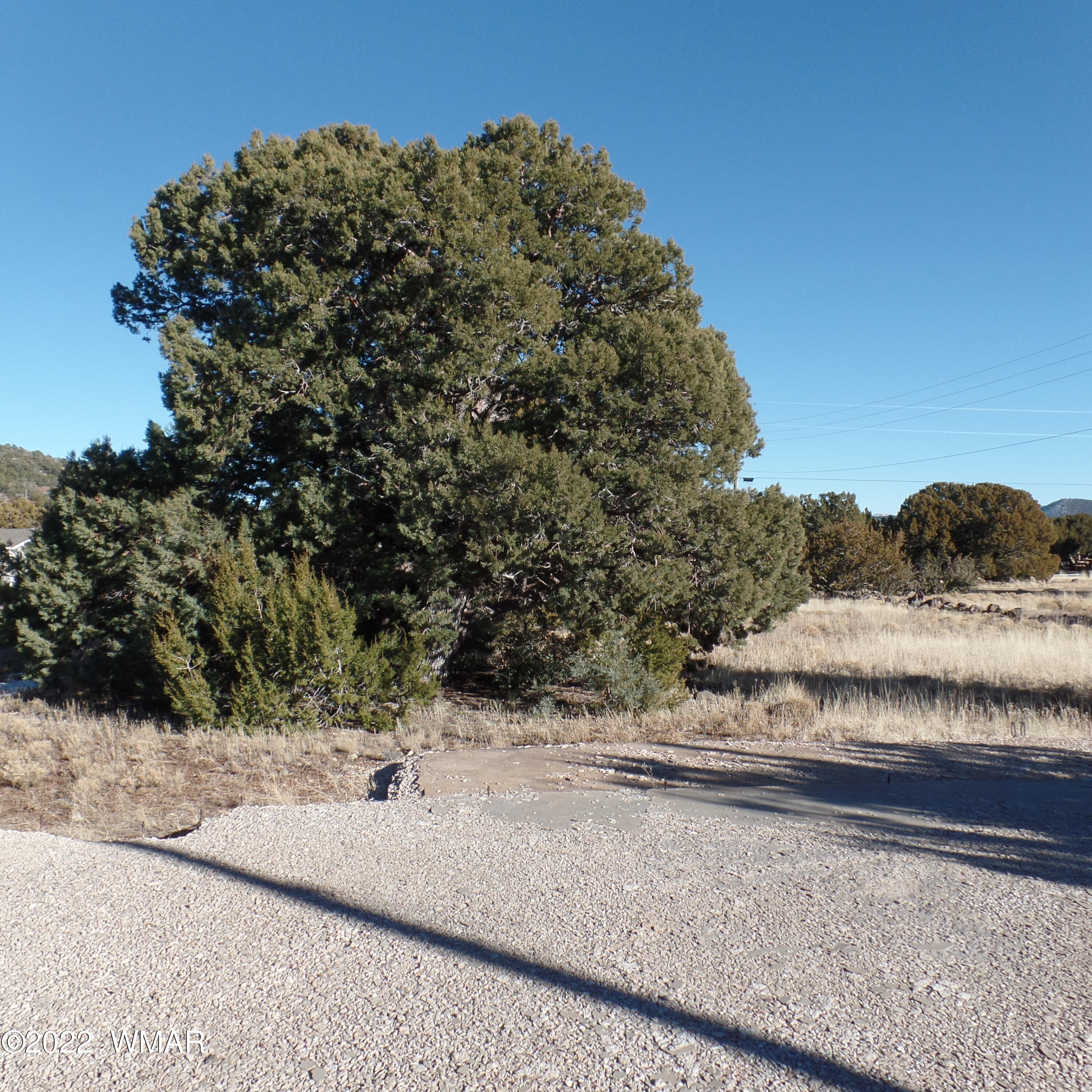 4 County Road Show Low, AZ 85901 - Photo 2 of 5
