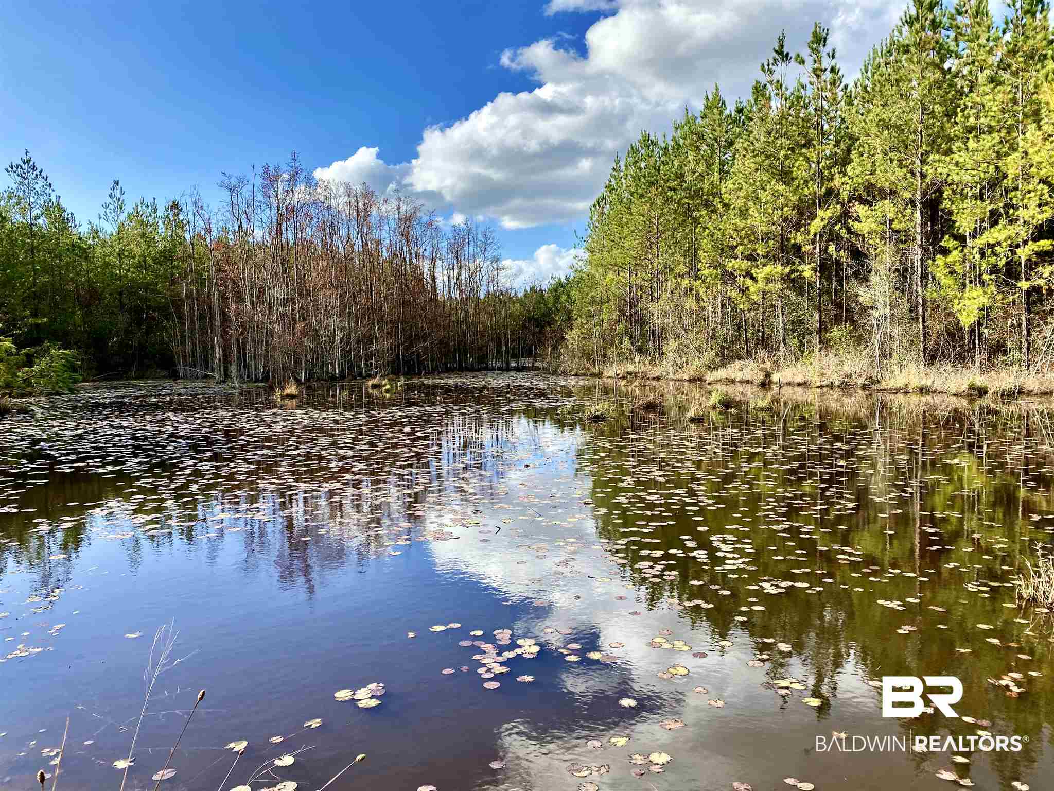 0 Whitetail Run Chatom, AL 36518 - Photo 3 of 29