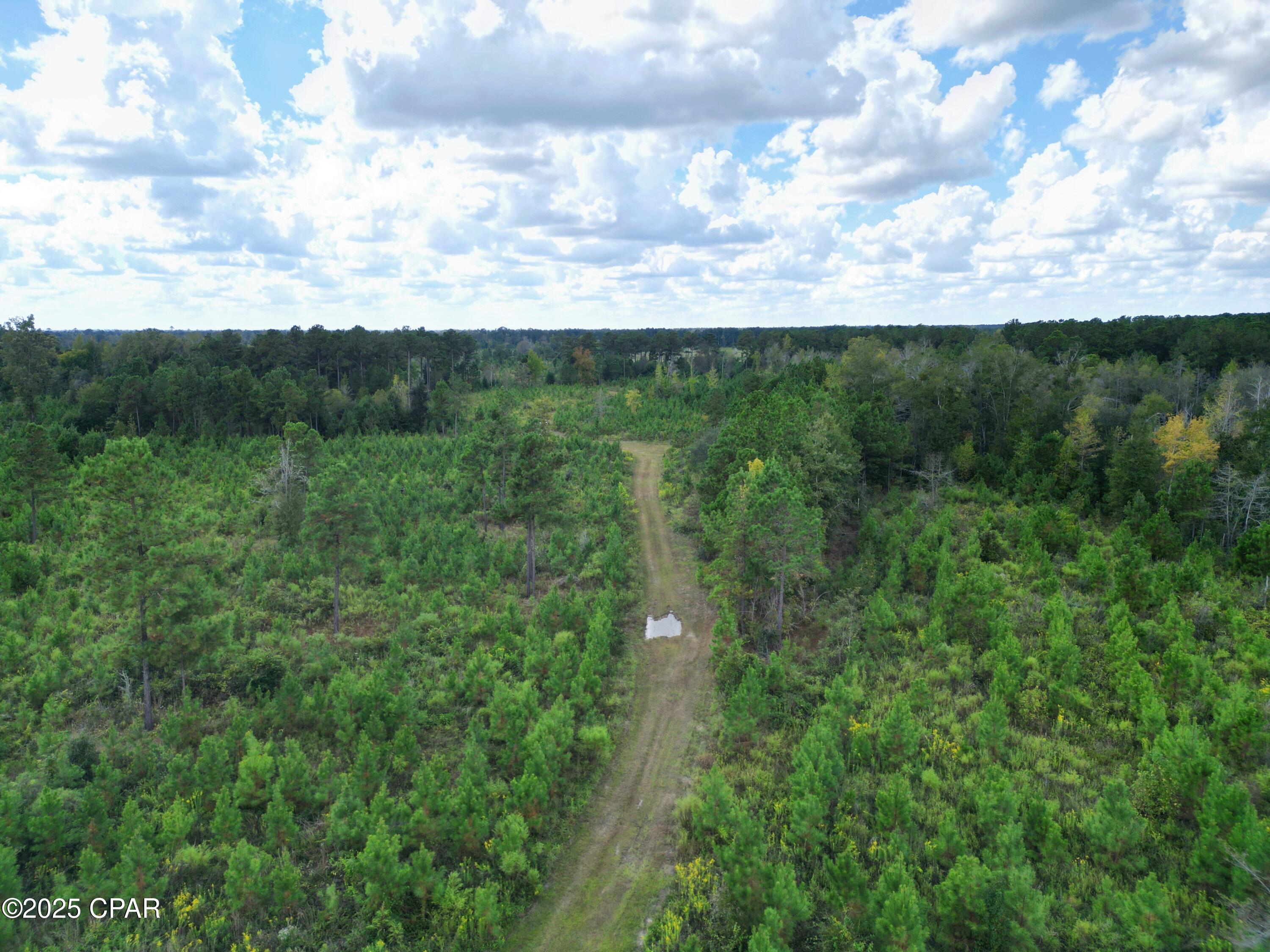 0 River Road Sneads, FL 32460 - Photo 8 of 23