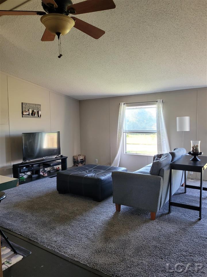 12777 Plank Road Clayton, MI 49235 - Photo 21 of 24 50047135-20.JPG