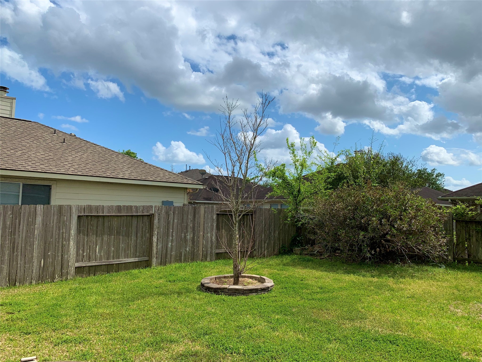 25203 Bluma Ranch Drive Katy, TX 77494 - Photo 25 of 26 a swimming pool with outdoor seating and yard
