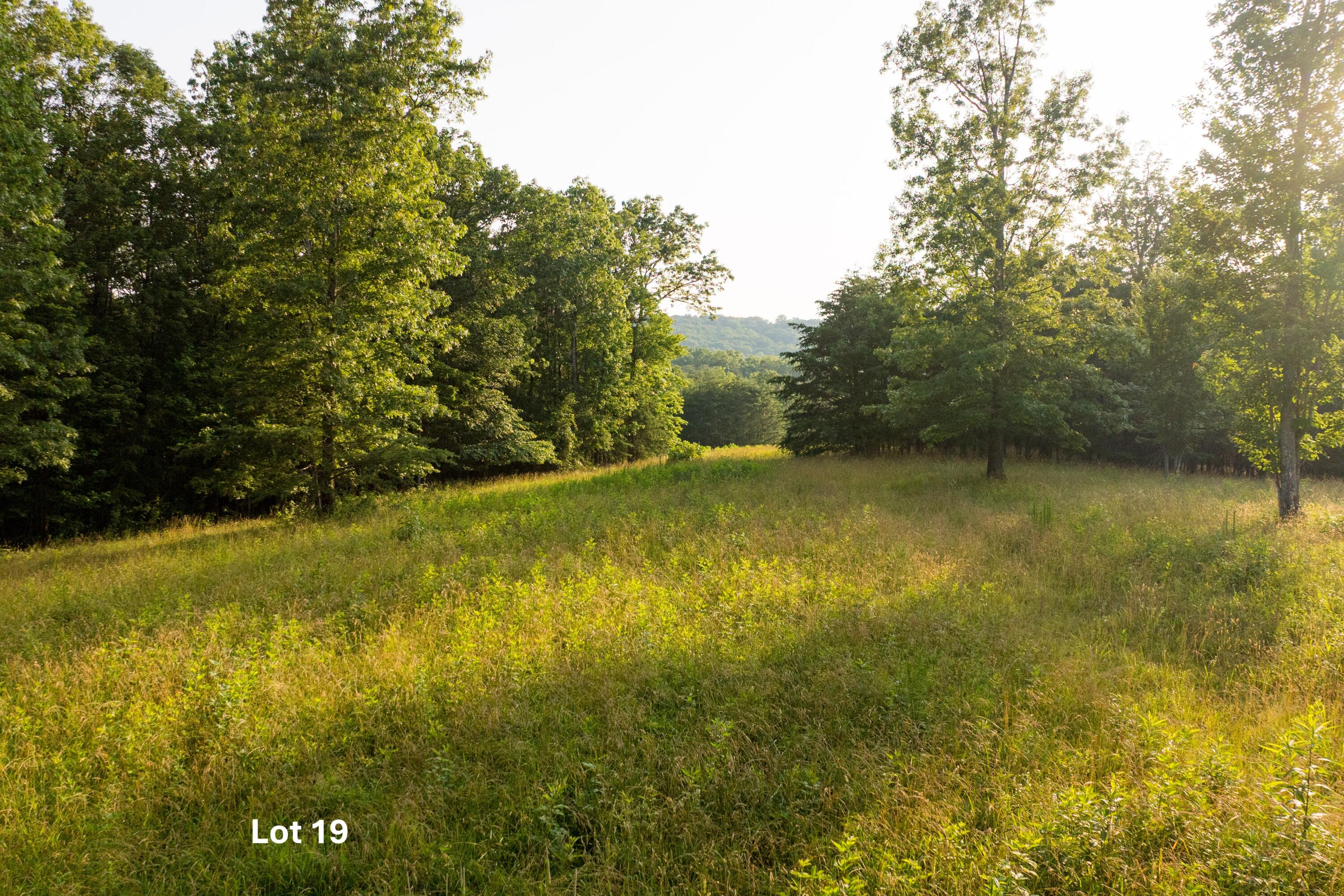 0 Long Branch Road, Unit LOT 19 Rising Fawn, GA 30738 - Photo 12 of 49 10.4