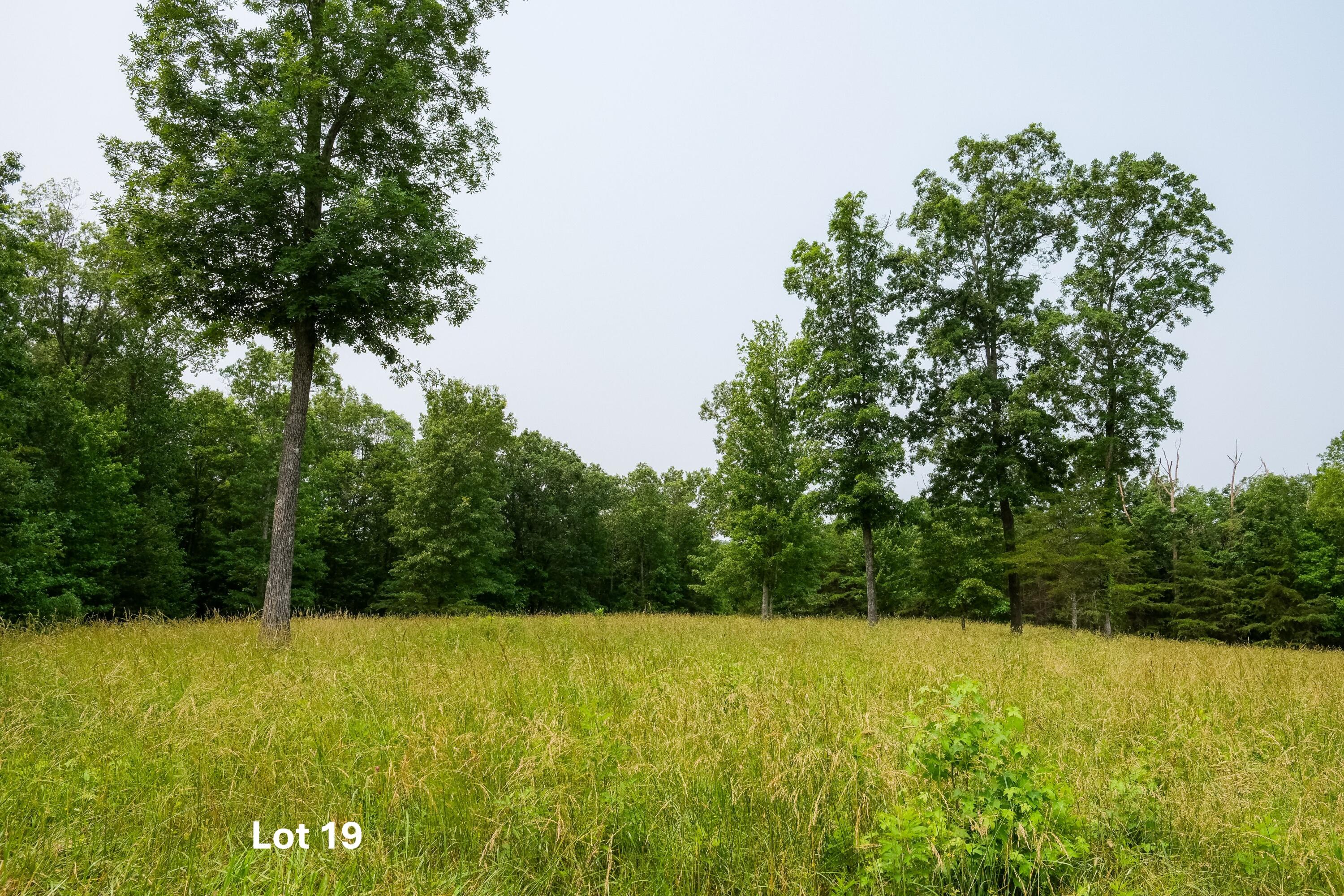 0 Long Branch Road, Unit LOT 19 Rising Fawn, GA 30738 - Photo 15 of 49 10.8