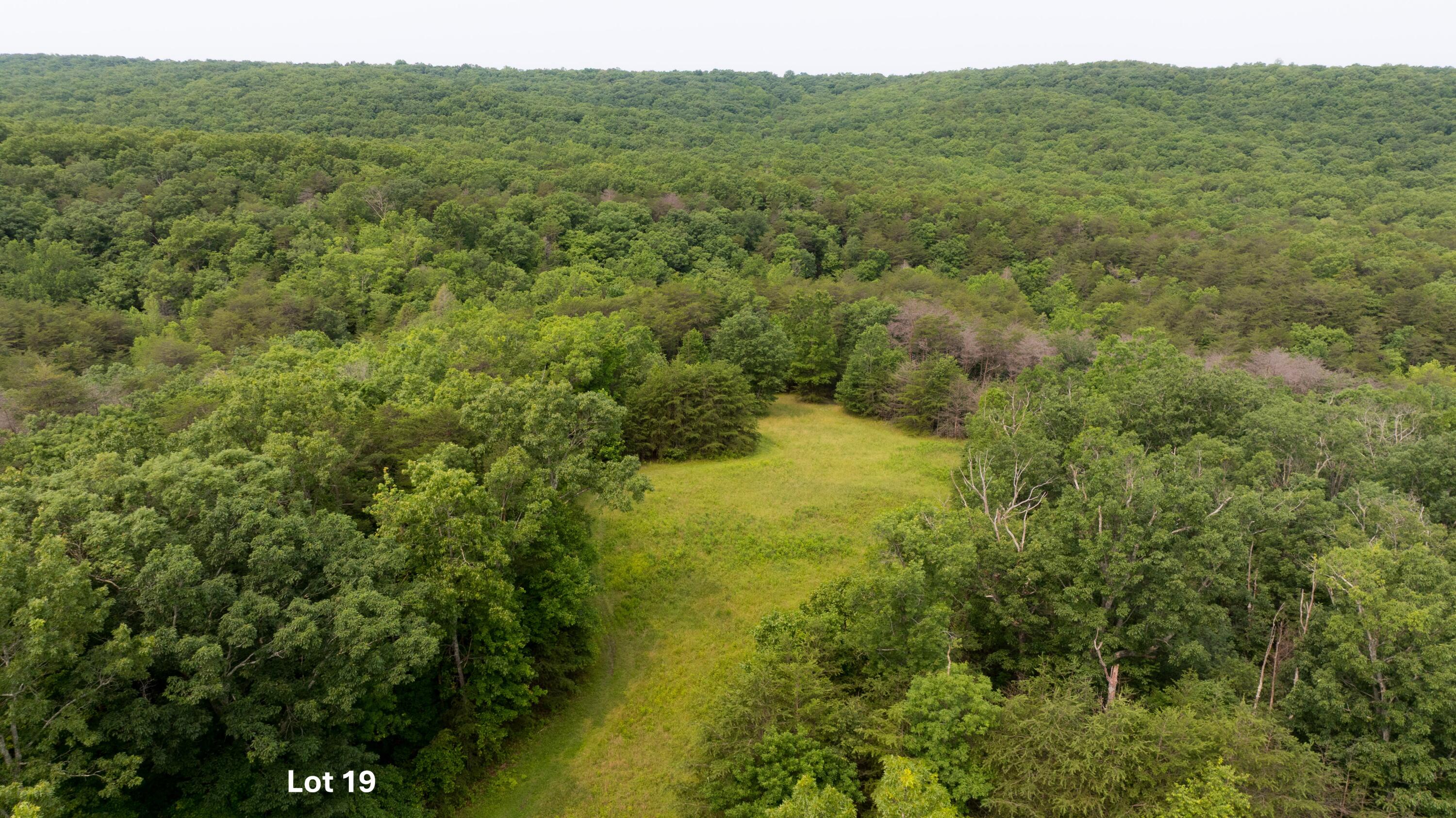 0 Long Branch Road, Unit LOT 19 Rising Fawn, GA 30738 - Photo 16 of 49 10.9