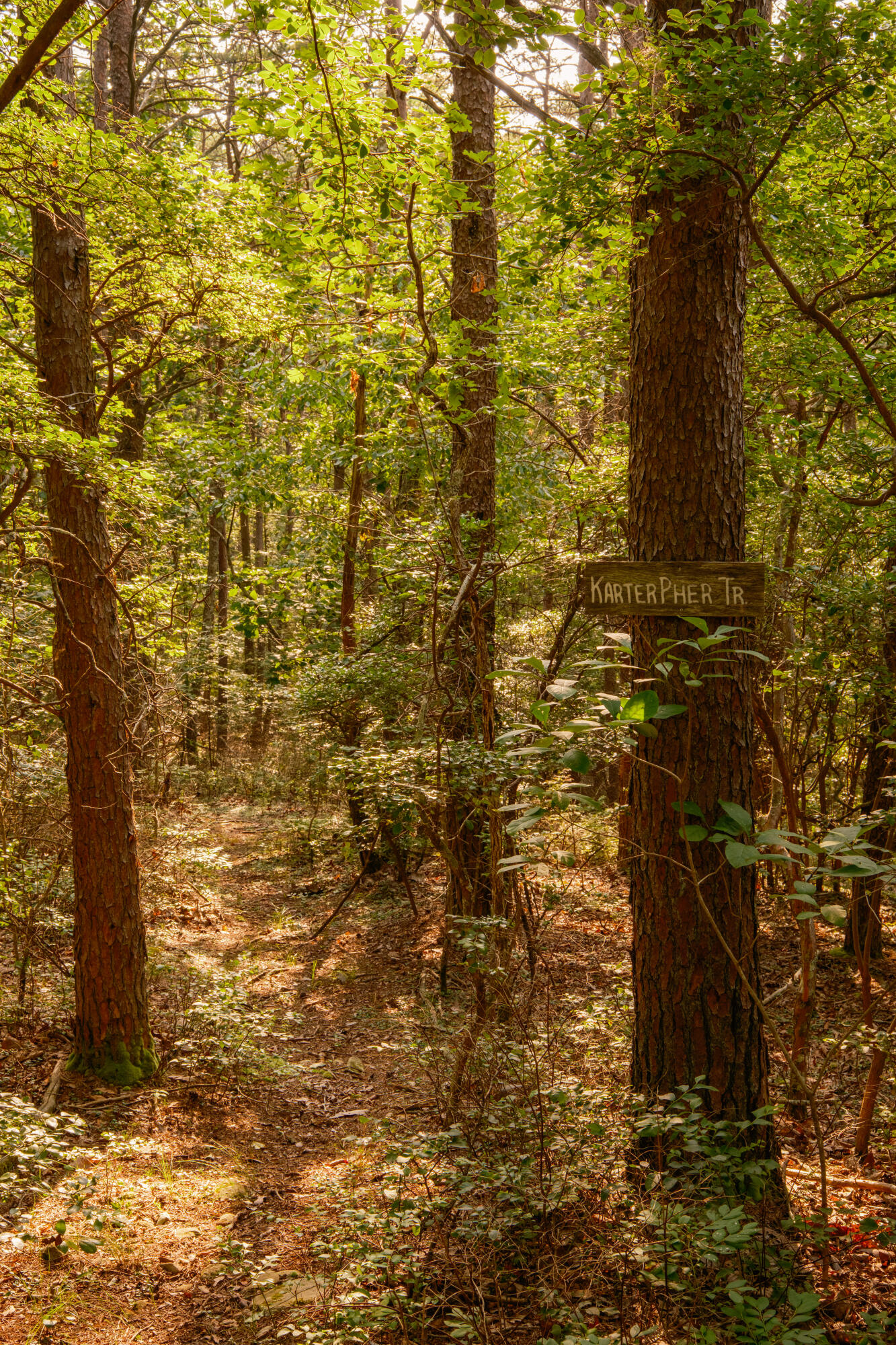 0 Long Branch Road, Unit LOT 19 Rising Fawn, GA 30738 - Photo 40 of 49 30.1