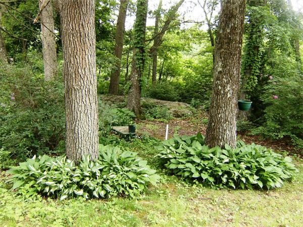 98 East Border Road Malden, MA 02148 - Photo 14 of 15 Gallery Image 14