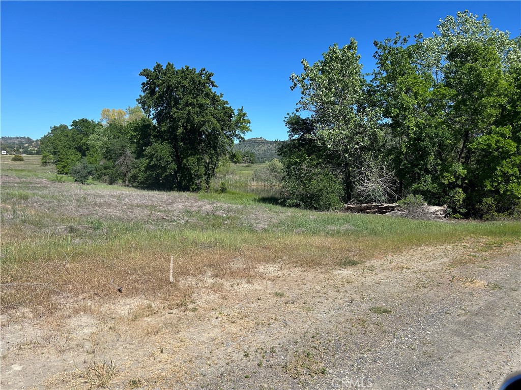 0 Steamboat Rock Road Oroville, CA 95965 - Photo 11 of 11 a view of a field with trees in the background