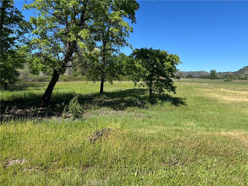 0 Steamboat Rock Road Oroville, CA 95965 - Photo 2 of 11 a view of a garden