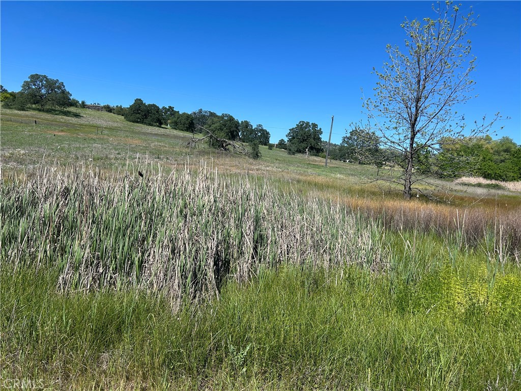 0 Steamboat Rock Road Oroville, CA 95965 - Photo 5 of 11 a view of lake with a yard