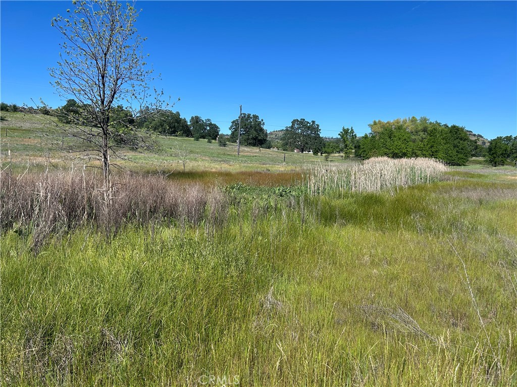 0 Steamboat Rock Road Oroville, CA 95965 - Photo 6 of 11 a view of a lake view with a yard