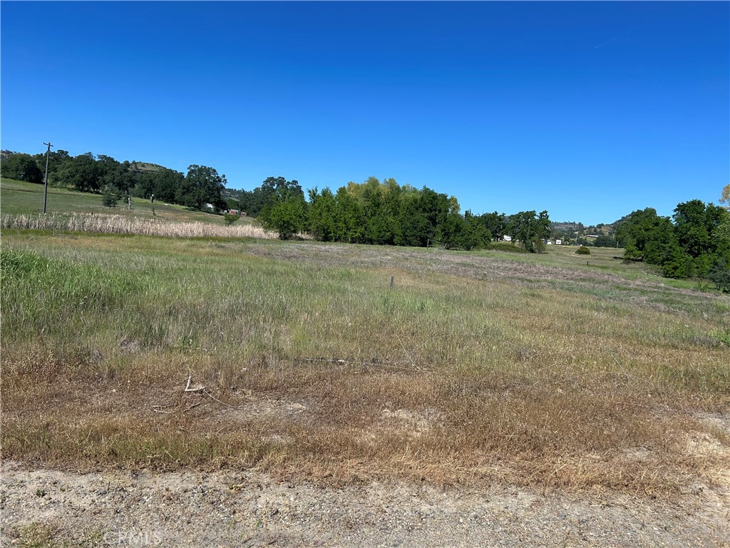 0 Steamboat Rock Road Oroville, CA 95965 - Photo 8 of 11 a view of an outdoor space and a yard