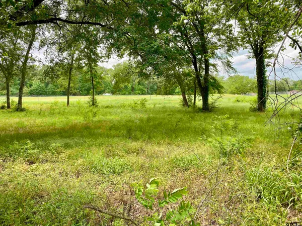 $29,500 | Lot 3 Browning Street, Brownsboro, TX 75756