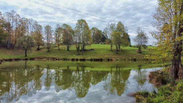 1673 Hardscrabble Road Mineral Bluff, GA 30559 - Photo 2 of 88 Gallery Image 2