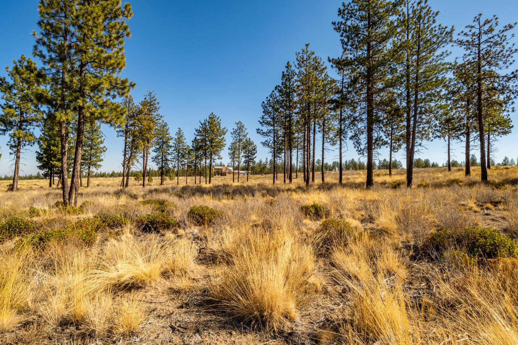 62450 Huntsman Loop Bend Bend, OR 97703 - Photo 4 of 13 8